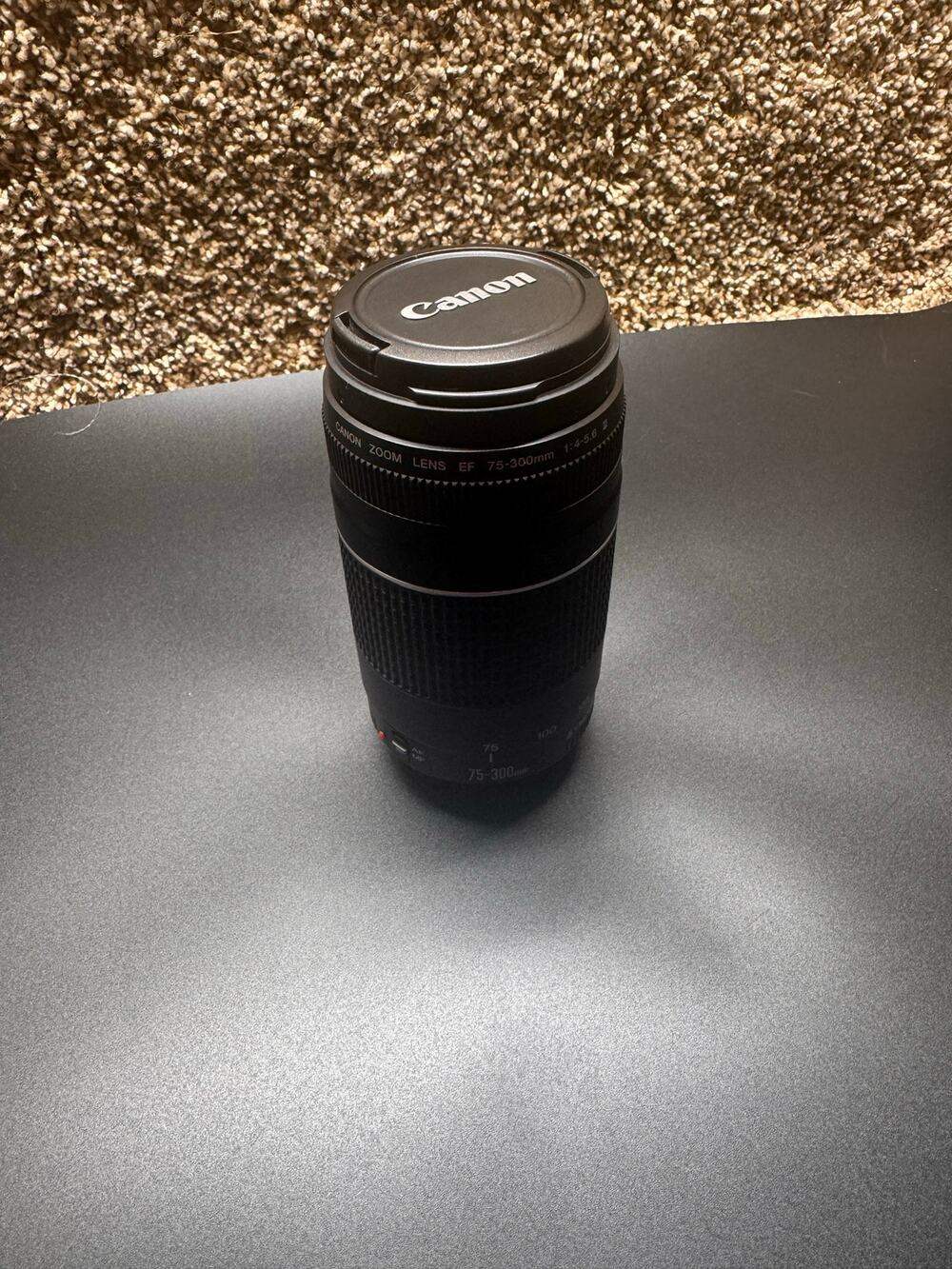 Canon Zoom Lens EF 75-300mm 1:4-5.6 III